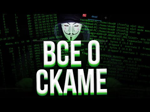 Видео: ВСЁ О СКАМЕ НА ВАЙМ ВОРЛД | Scam VimeWorld