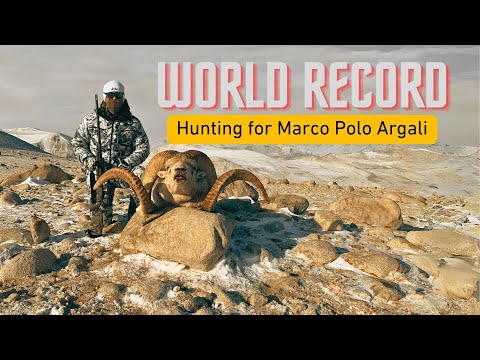Видео: МИРОВОЙ РЕКОРД Охота на аргали Марко Поло