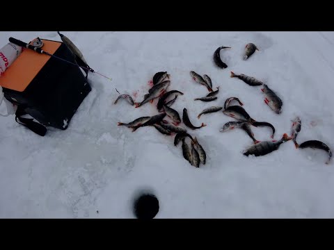 Видео: 11 18 03 24г рыбалка на озере