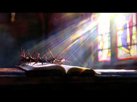 Видео: Спокійна Музика Для  Відпочинку | Спів Птахів