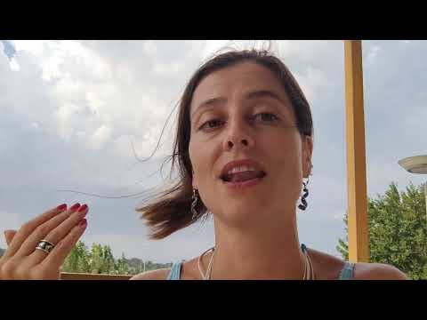 Видео: Артикли в испанском языке коротко. Часть 2 определённый артикль.