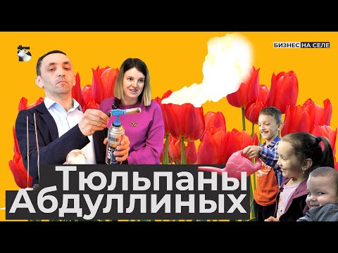 Видео: Как сельский учитель из Татарстана создал бизнес на тюльпанах