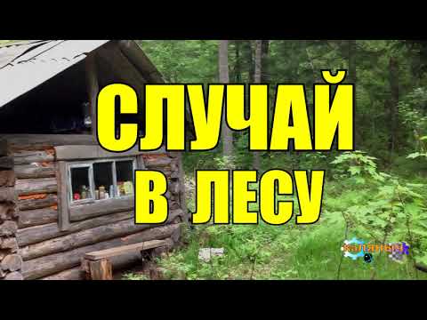 Видео: СЛУЧАЙ В ЛЕСУ | ТАЙГА