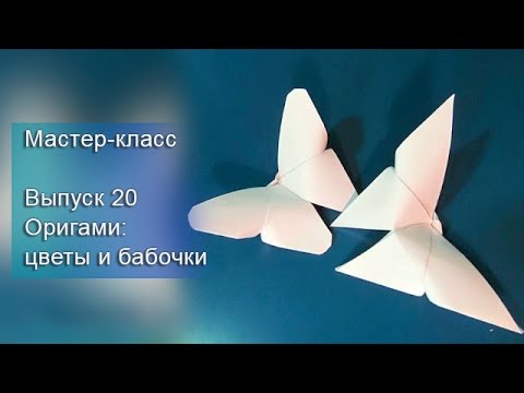 Видео: Мастер-класс. Выпуск 20 (Оригами: цветы и бабочки).