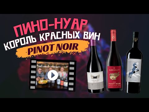 Видео: Пино Нуар — Король красных вин | Pinot Noir