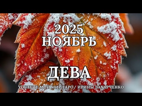 Видео: ДЕВА ♍🍂НОЯБРЬ 2025 🍁Таро прогноз для Дев/Tarot forecast from Virgo.