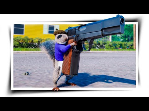 Видео: Я БЕЛКА С ПУШКОЙ 🐿️