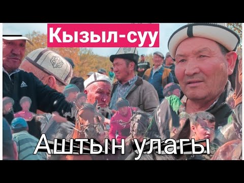 Видео: Абдыкаар авага арналган аламан улак