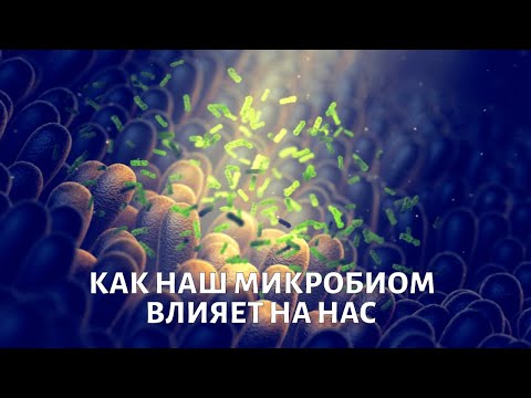 Видео: Микробиом. Вопросы выживания