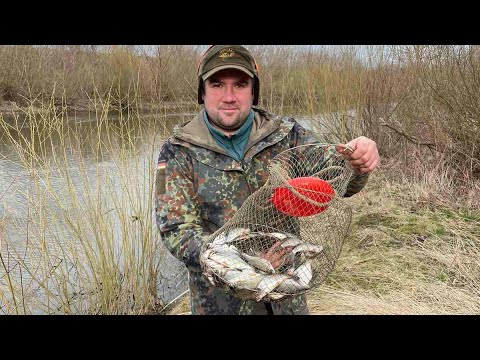 Видео: Рибалка на фідер весною 2022. Рибалка на р.Горинь. Чудовий кльов риби на черв'яка!!