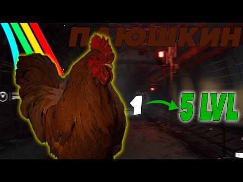 Видео: БЫСТРАЯ ПРОКАЧКА ПЕТУХА в ARC Raiders