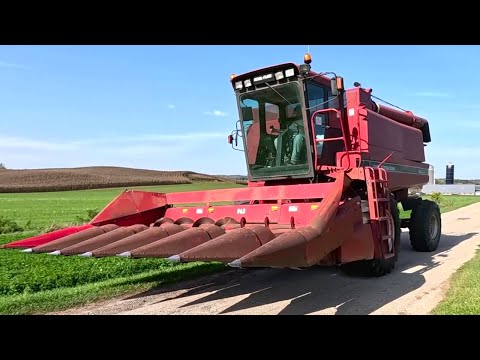 Видео: Я купил комбайн! Мой новый комбайн Case International Harvester Axial-Flow 1660!