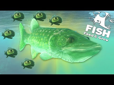 Видео: СТАЯ ЩУК ВЫЖИВАЕТ В РЕЧКЕ, ОБНОВЛЕНИЕ! | Feed and Grow Fish