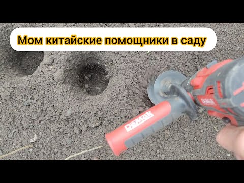 Видео: Мои китайские помощники в саду.