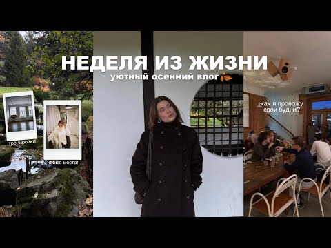 Видео: неделя из жизни | осень, покупки и йога