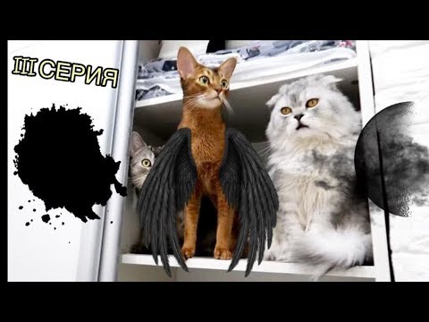 Видео: КОШАЧЬЯ ИСТОРИЯ УЖАСОВ 3 СЕРИЯ | ПРЯТКИ В ШКАФУ
