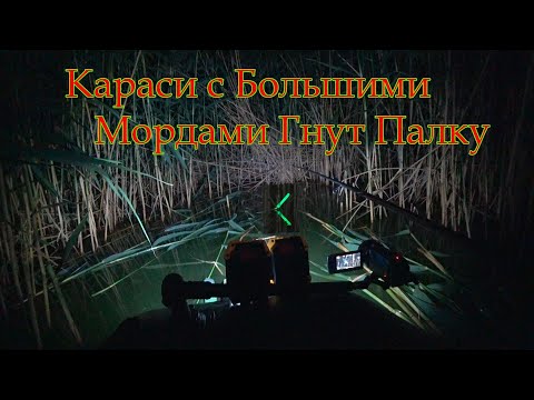 Видео: ЛОВЛЯ КАРАСЯ НОЧЬЮ НА ПОПЛАВОК  МОРМЫШКУ И ГОРОХОВУЮ МАСТЫРКУ