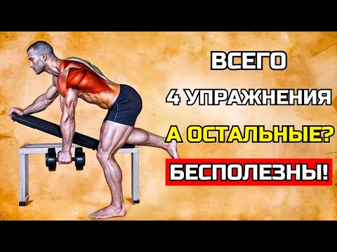 Видео: 4 УПРАЖНЕНИЯ НА СПИНУ КОТОРЫЕ ЗАМЕНЯТ ВСЕ ОСТАЛЬНЫЕ (ГАРАНТИРОВАННЫЙ РЕЗУЛЬТАТ)