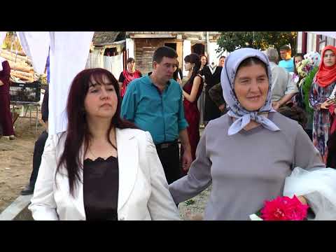 Видео: Салих и Шерии