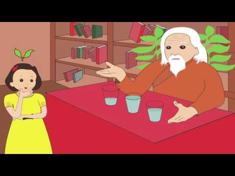 Видео: Хайрын шидэт үр