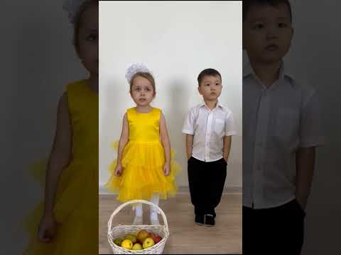 Видео: 5 ноября 2025 г.