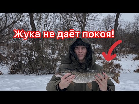 Видео: Рыбалка на жерлицы на микро речке! Щука прёт!