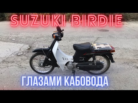 Видео: Suzuki Birdie глазами Владельца Honda Super Cub (Хонда Супер Каб )!