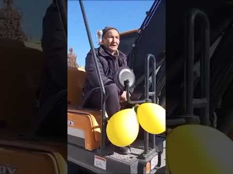 Видео: Ноокаттык бүркүт акын президентке пахта койгондо) #ноокат #ош #садыр  #президент #пахта #жол 