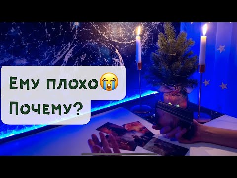 Видео: Ему плохо 😭 Почему?