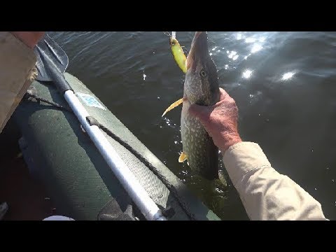 Видео: DEPS Balisong Minnow 130SP.Щуки и судак.Ловил только он! Pike Fishing.