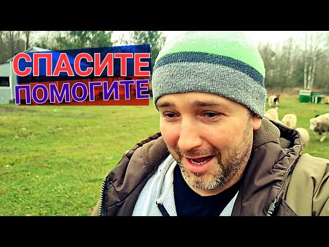 Видео: Думали что выручим черничников, а пришлось спасать нас. Печки лавочки ВЛОГ