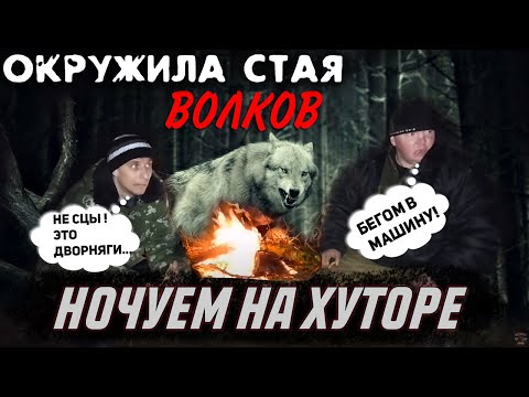 Видео: Cломалась машина... НАС ОКРУЖИЛА СТАЯ ВОЛКОВ!!!  Ночуем на хуторе... МЫ В ШОКЕ!!!