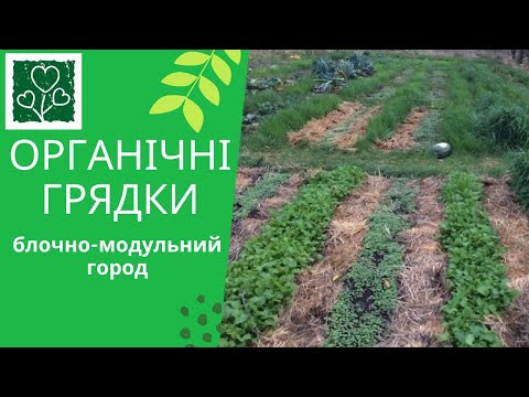 Видео: Органічна грядка. Блочно-модульний город