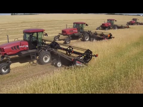 Видео: Қ. Тоқаев: Ауыл шаруашылығының әлеуеті толық қолданылмай отыр