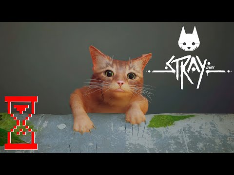 Видео: Я Кот // Stray