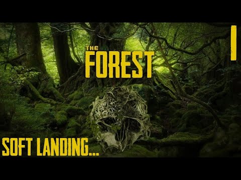 Видео: The Forest - Мягкое приземление... #1