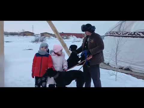 Видео: "Шебер әке,  өнерлі ана, еңбекқор бала" байқауы