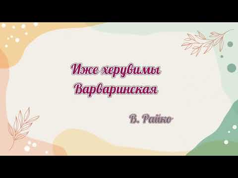 Видео: Иже херувимы... Варваринская. В. Райко #божественнаялитургия #литургия #liturgy