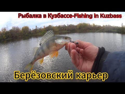 Видео: Вся правда о Березовском карьере)