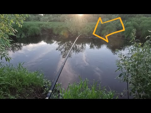 Видео: УДОЧКА В ДУГУ! Рыбалка в диких зарослях! В ЭТОЙ РЕЧКЕ ЕСТЬ РЫБА!!!