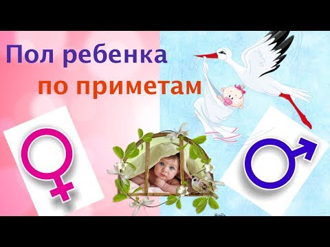 Видео: Определяем пол ребёнка по приметам!😊☺️ Мальчик или девочка???