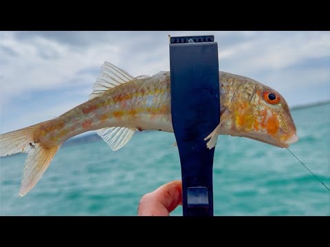 Видео: ОТКРЫТИЕ СЕЗОНА ЛОВЛИ БАРАБУЛЬКИ - Секреты успешной рыбалки в Чёрном море