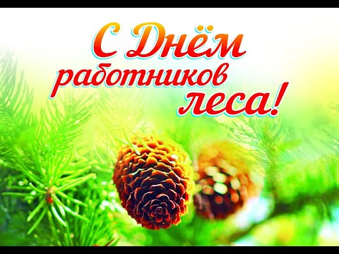 Видео: С Днем работников леса! "Лесной дозор" поздравляет работников Ганцевичского лесхоза!