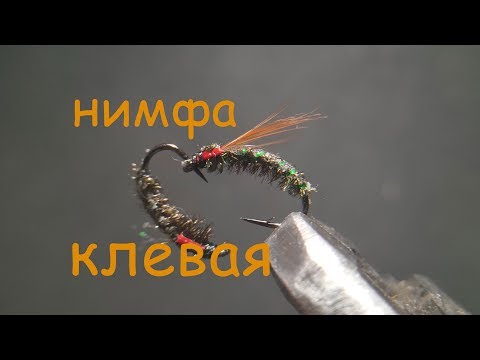 Видео: нимфа на хариуса, клевая, из павлина