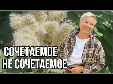 Видео: 🔶СТИЛЬНЫЕ ПОКУПКИ НА ВАЙЛДБЕРРИС! ЛЕТНИЕ ЗАБОТЫ! #wildberries