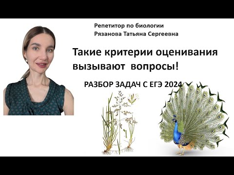 Видео: Разнос задач с ЕГЭ ! Показываю ответ ученицы. Пузыревидные клетки и   Концепция гандикапа