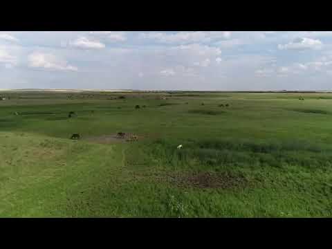 Видео: Село Кийма Жаксынского района