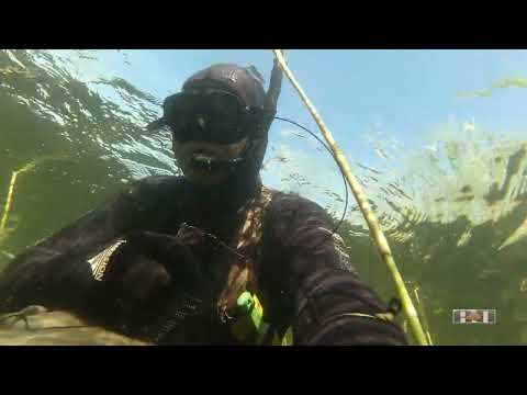 Видео: 2023 №10 РЕКОРДНЫЙ ЛИНЬ