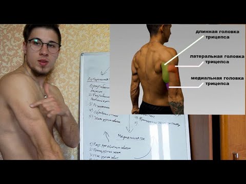 Видео: Как накачать трицепс! Латеральная, длинная и медиальная головка по отдельности!