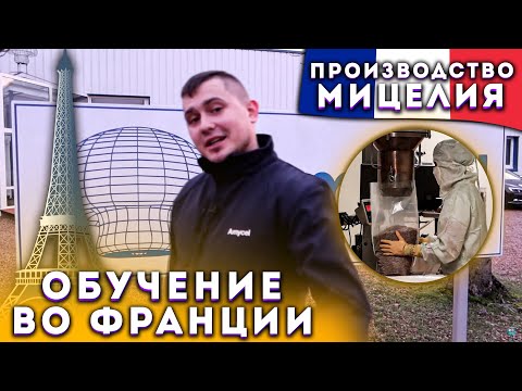 Видео: AMYCEL ФРАНЦИЯ. Производство Мицелия.